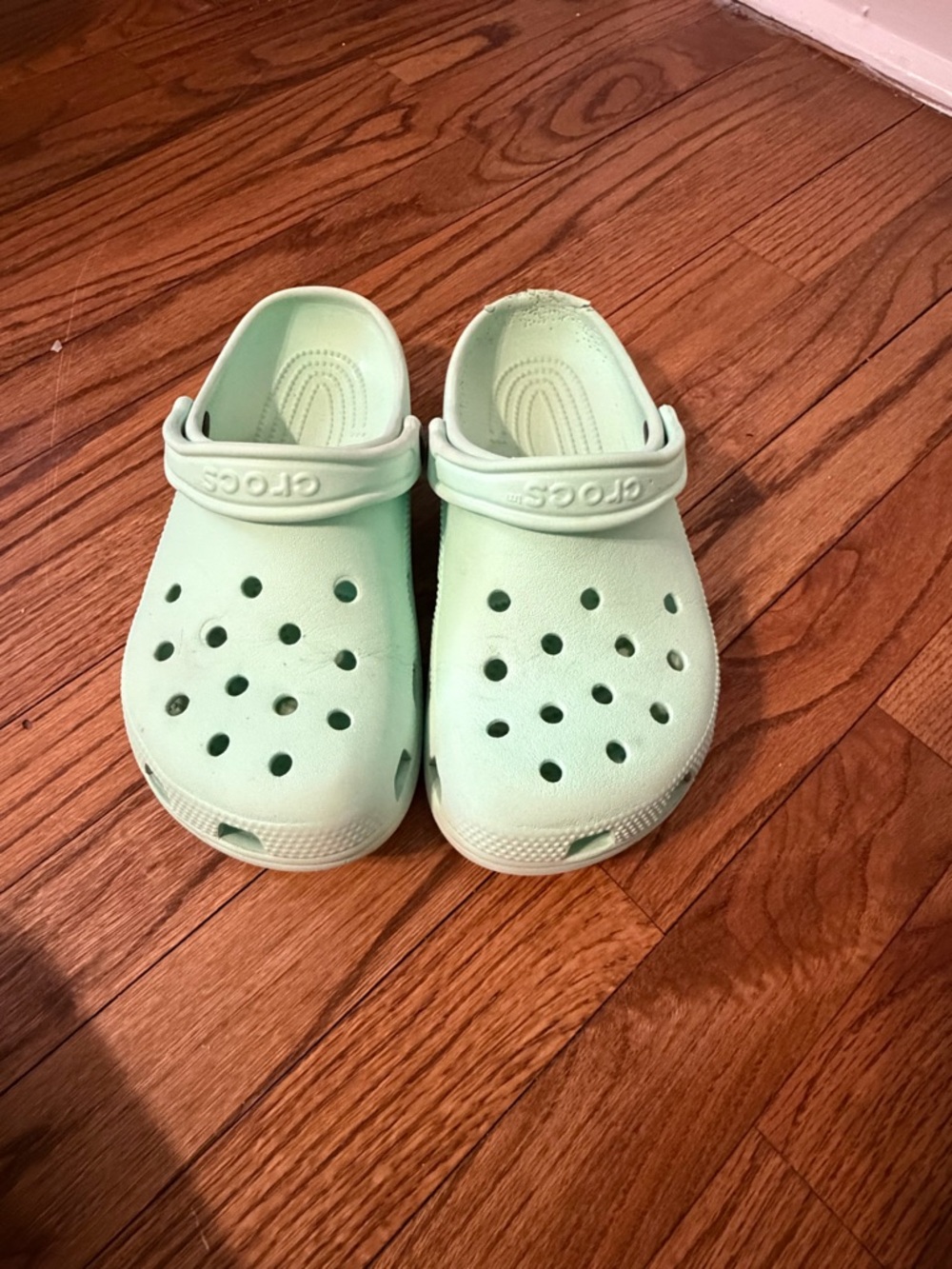 CROCS Classic Clog in Mint